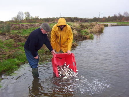 hommes relachent les poissons dans la rivière