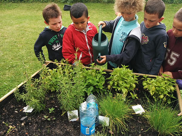 enfants arrosent les plantations