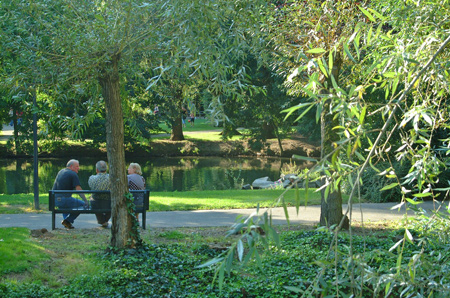 des retraités assis sur le banc du parc disctuent du beau temps